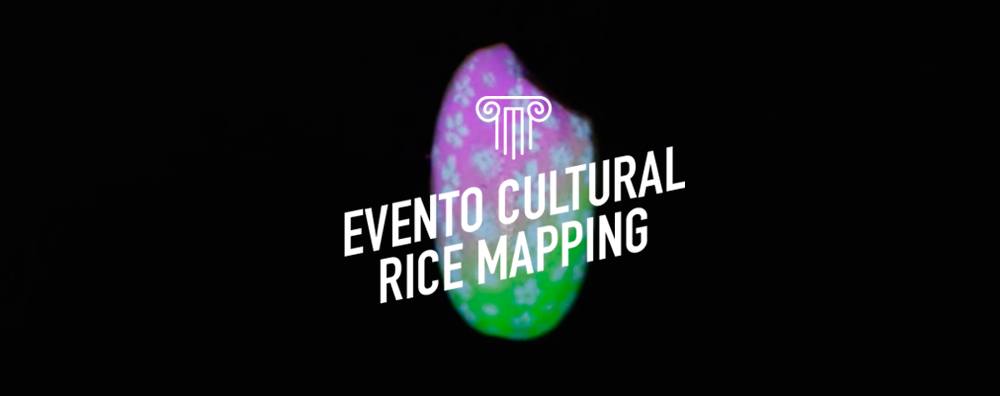 Rice Mapping