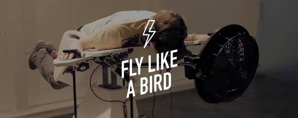 Fly Like a Bird